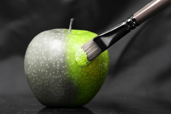 La manzana gris creativa se pinta con una borla de color verde