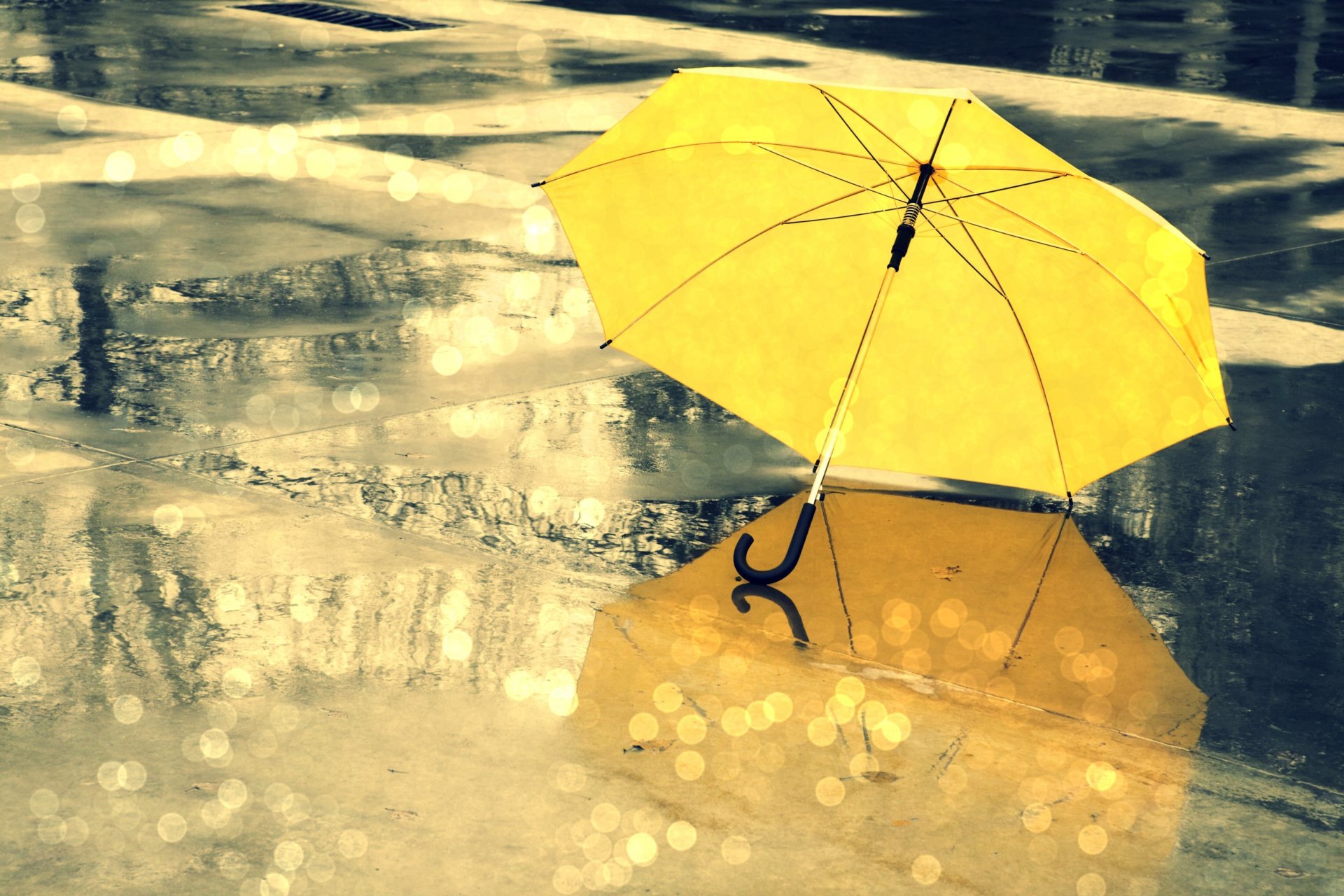 varios paraguas paraguas amarillo lluvia agua gotas mojado reflexión resplandor fondo pantalla ancha pantalla completa pantalla ancha papel pintado