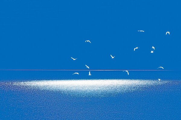 Paisaje blanco y azul con aves voladoras