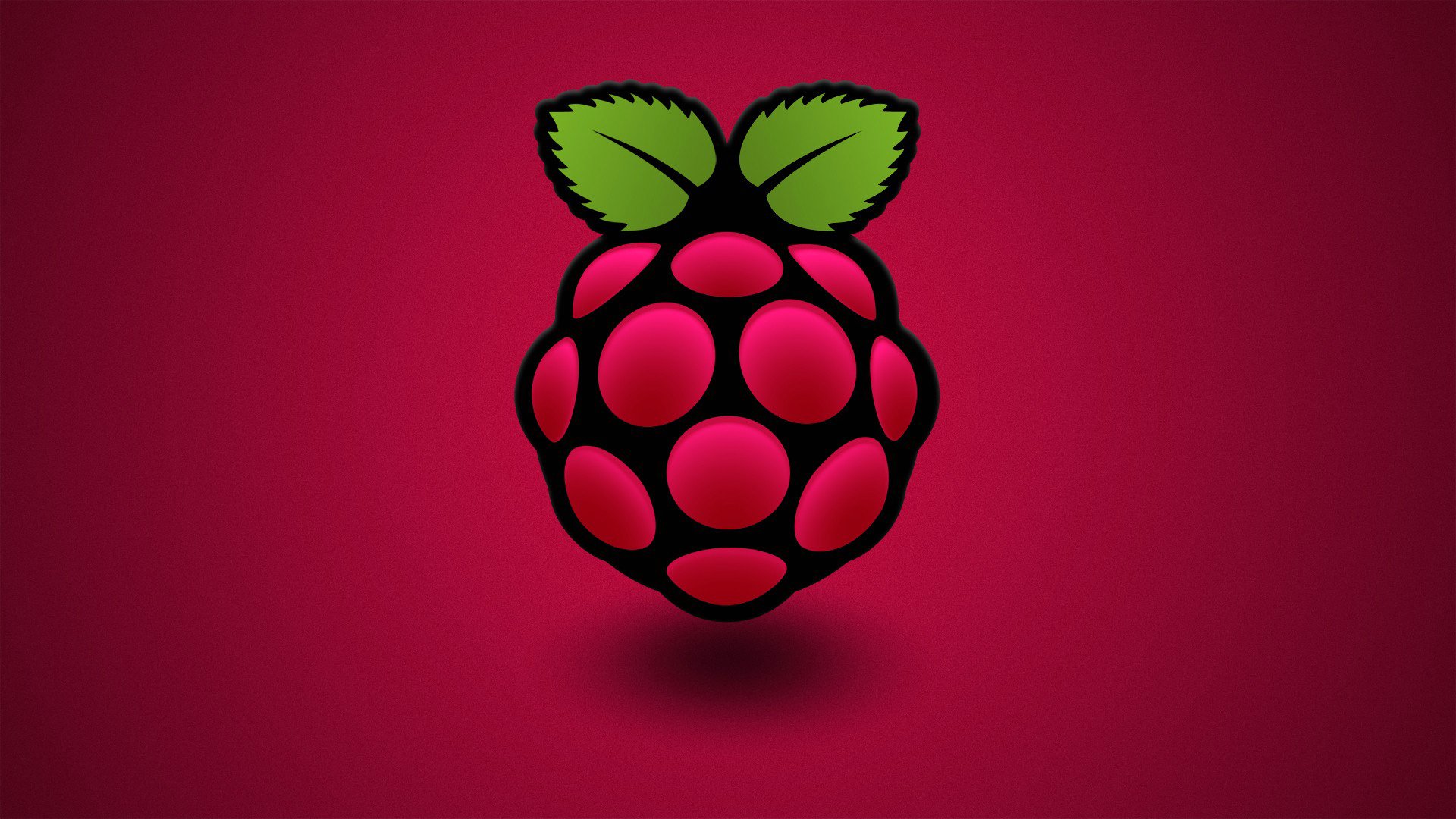 baya frambuesa hoja color ordenador raspberry pi