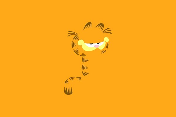 El gato garfield está incompleto en el campo naranja