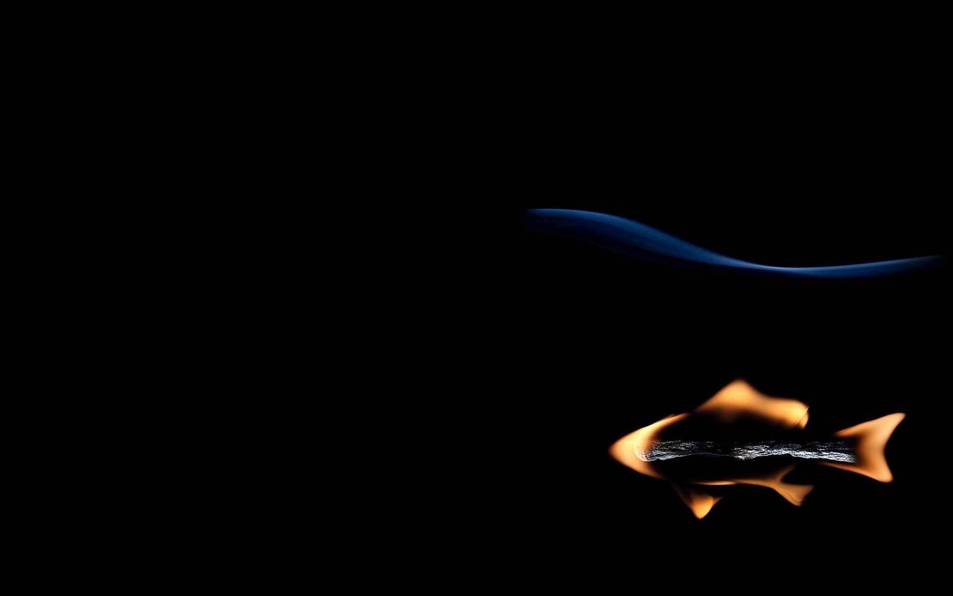 creativo pescado pescado fósforo fuego fondo negro autor stanislav aristov