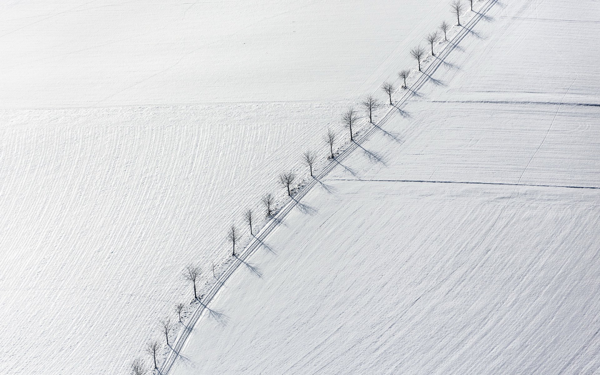campo árboles nieve paisaje minimalismo