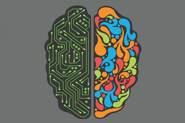 Hemisferio derecho e izquierdo del cerebro