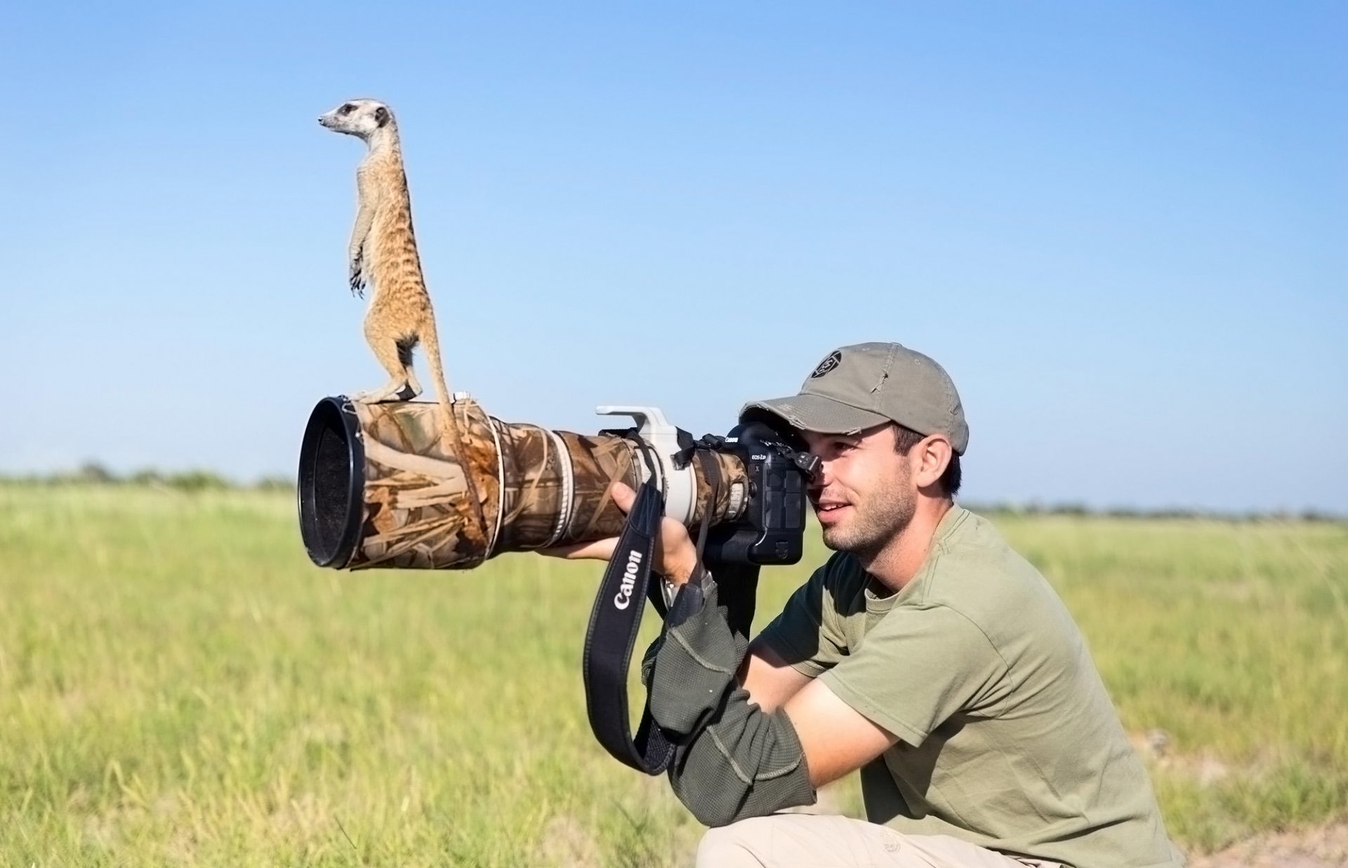 fotógrafo suricata lente