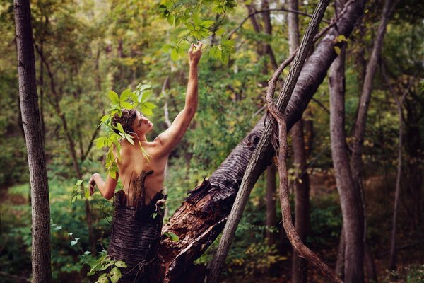Hombre retrata un árbol en el bosque