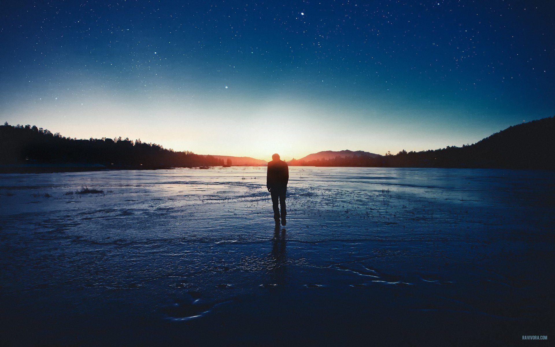 el camino las estrellas la soledad