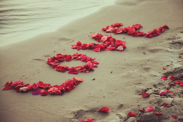 Amor pétalos de rosa en la playa de arena
