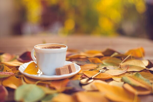 Taza blanca con café y azúcar en un platillo sobre un fondo de hojas de otoño