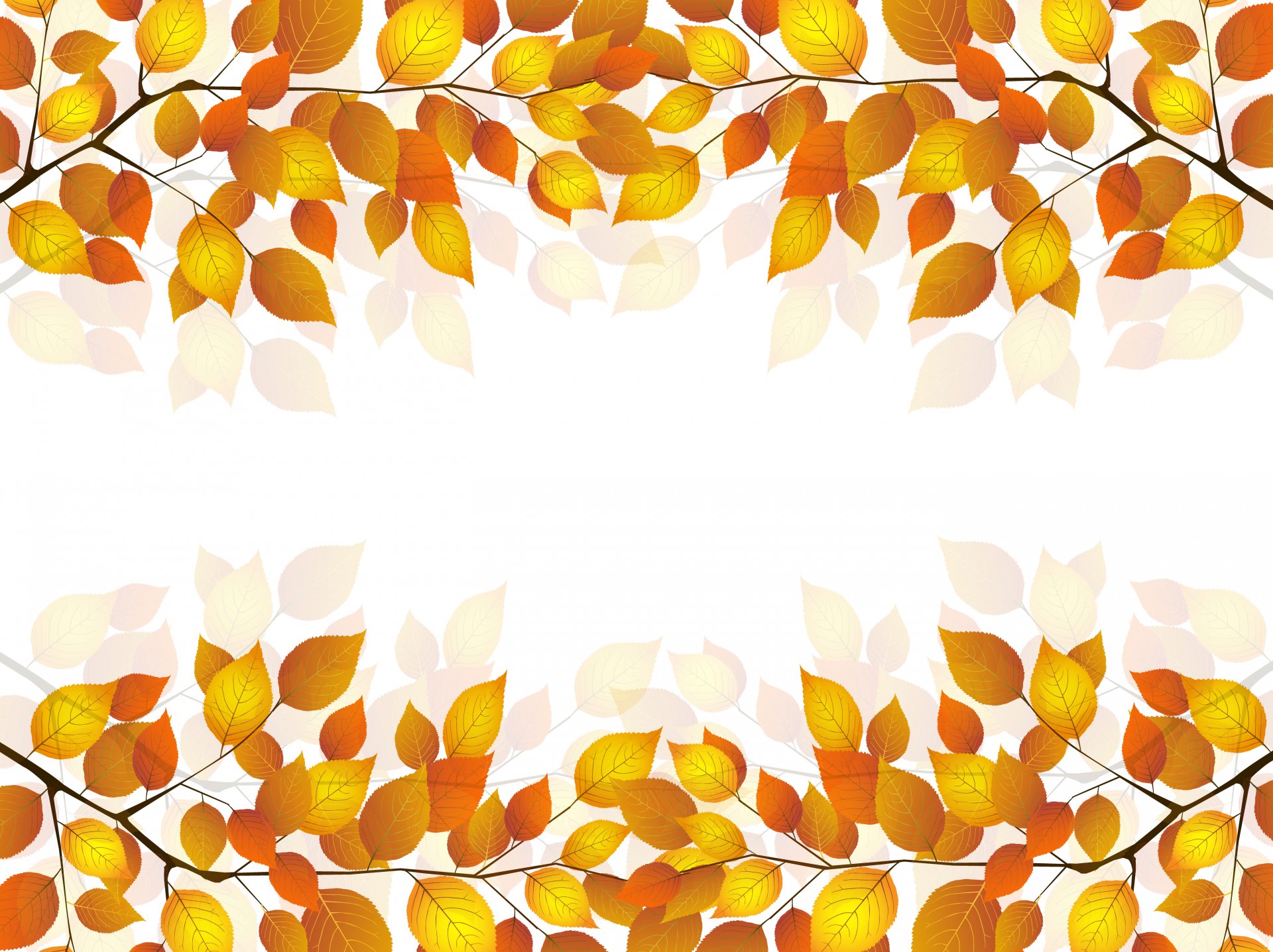 ramita hojas otoño fondo blanco