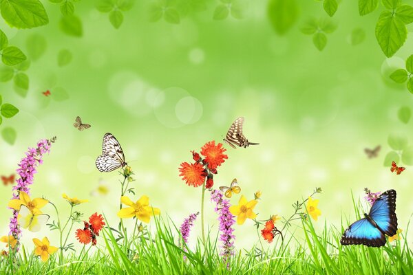 Prado con flores, mariposas y hierba verde