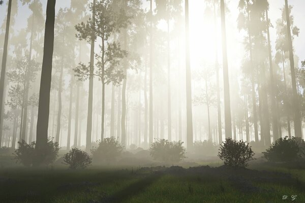 El sol se abre paso a través de la niebla nocturna