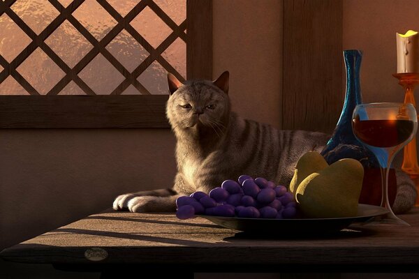 Naturaleza muerta del gato en la mesa