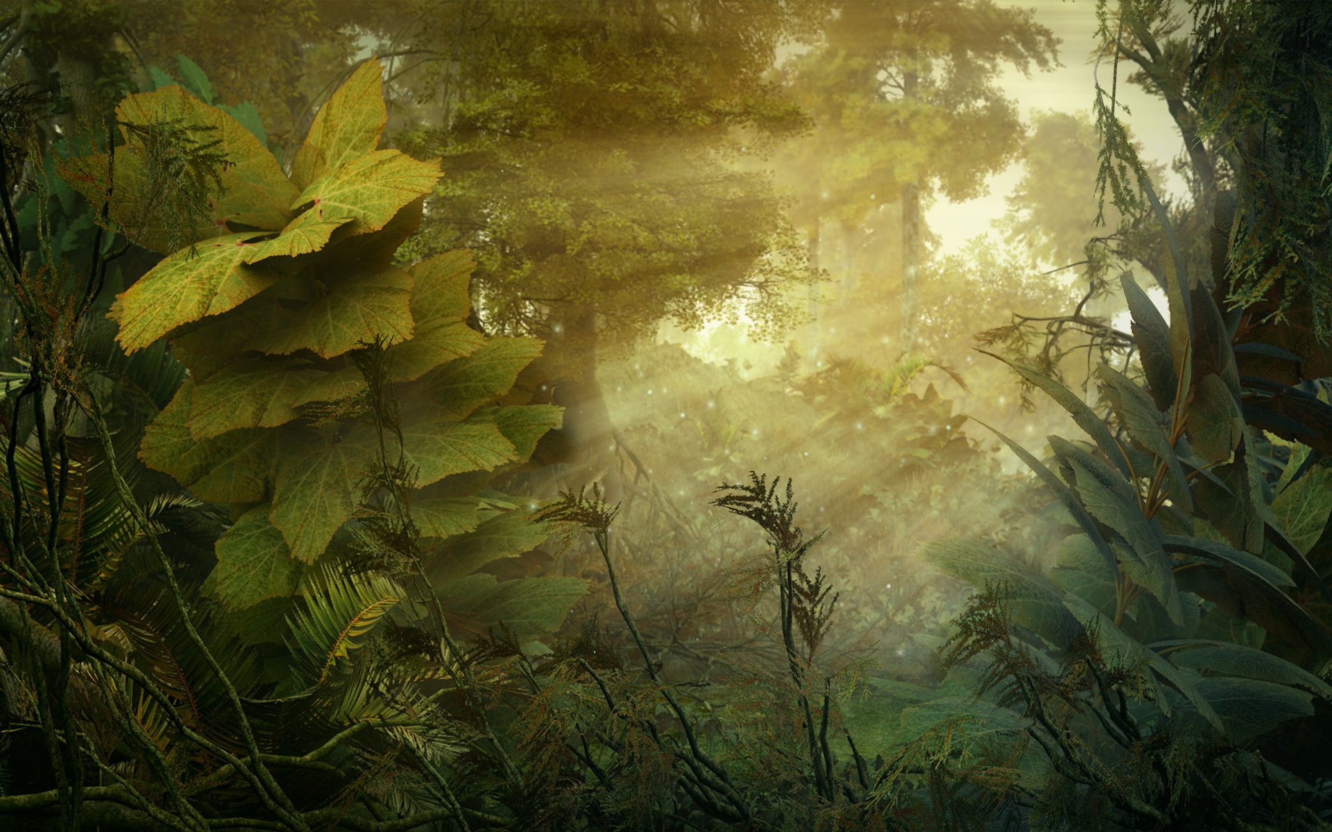 selva bosque plantas naturaleza