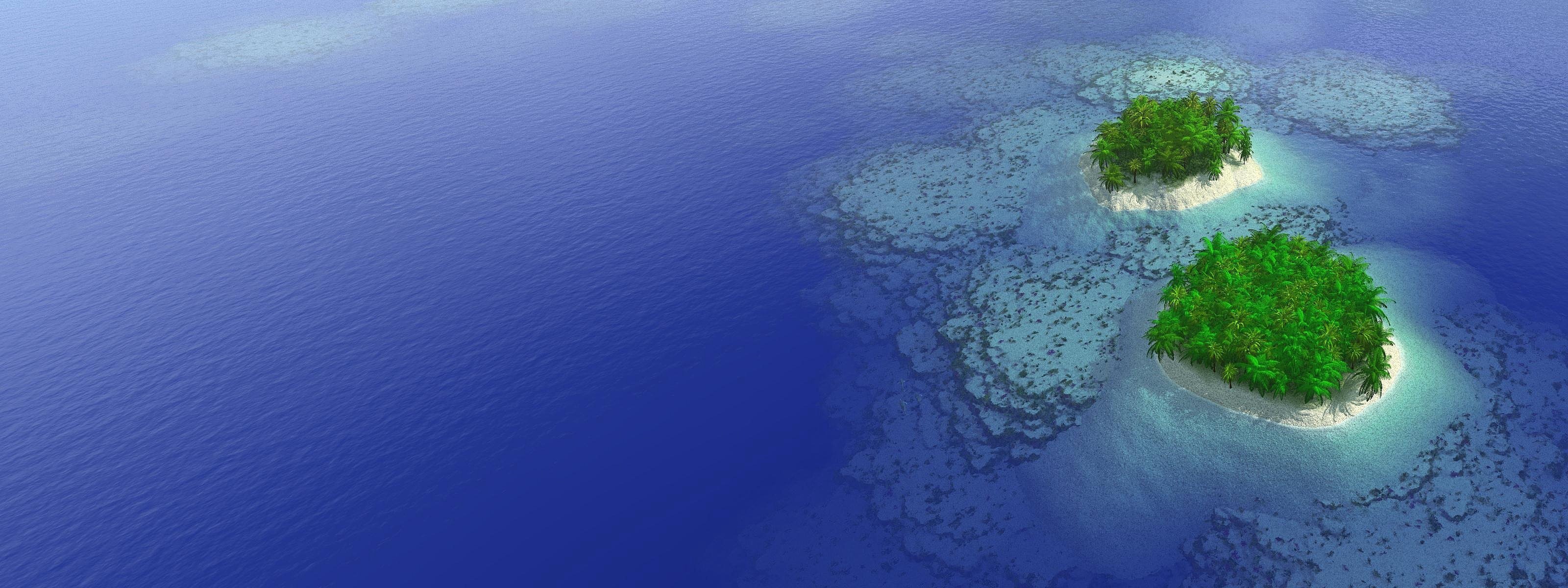 mar islas palmeras