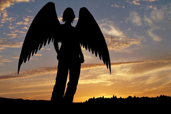 Silueta de ángel con alas en el fondo de la puesta de sol