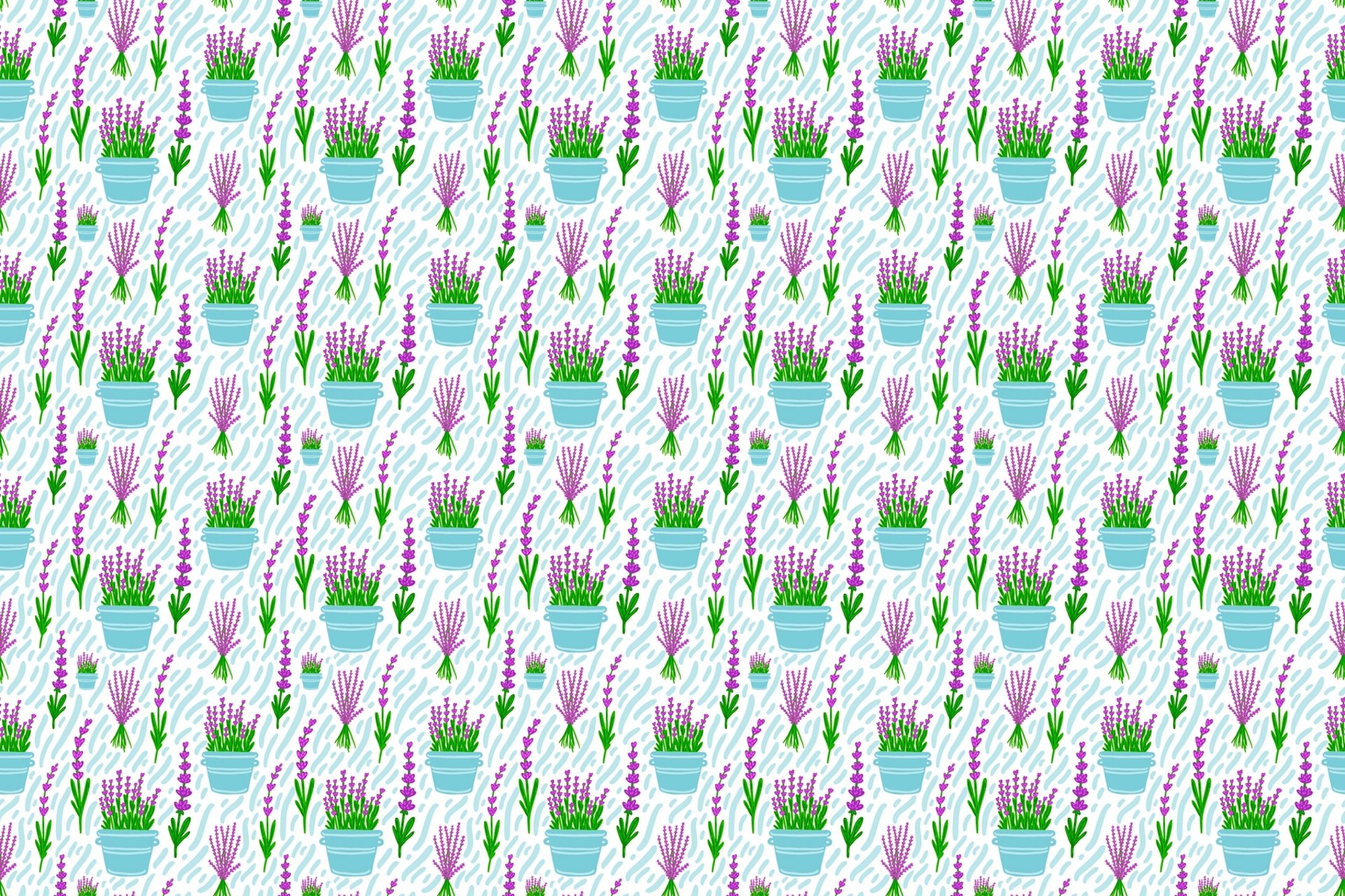 flores lavanda macetas