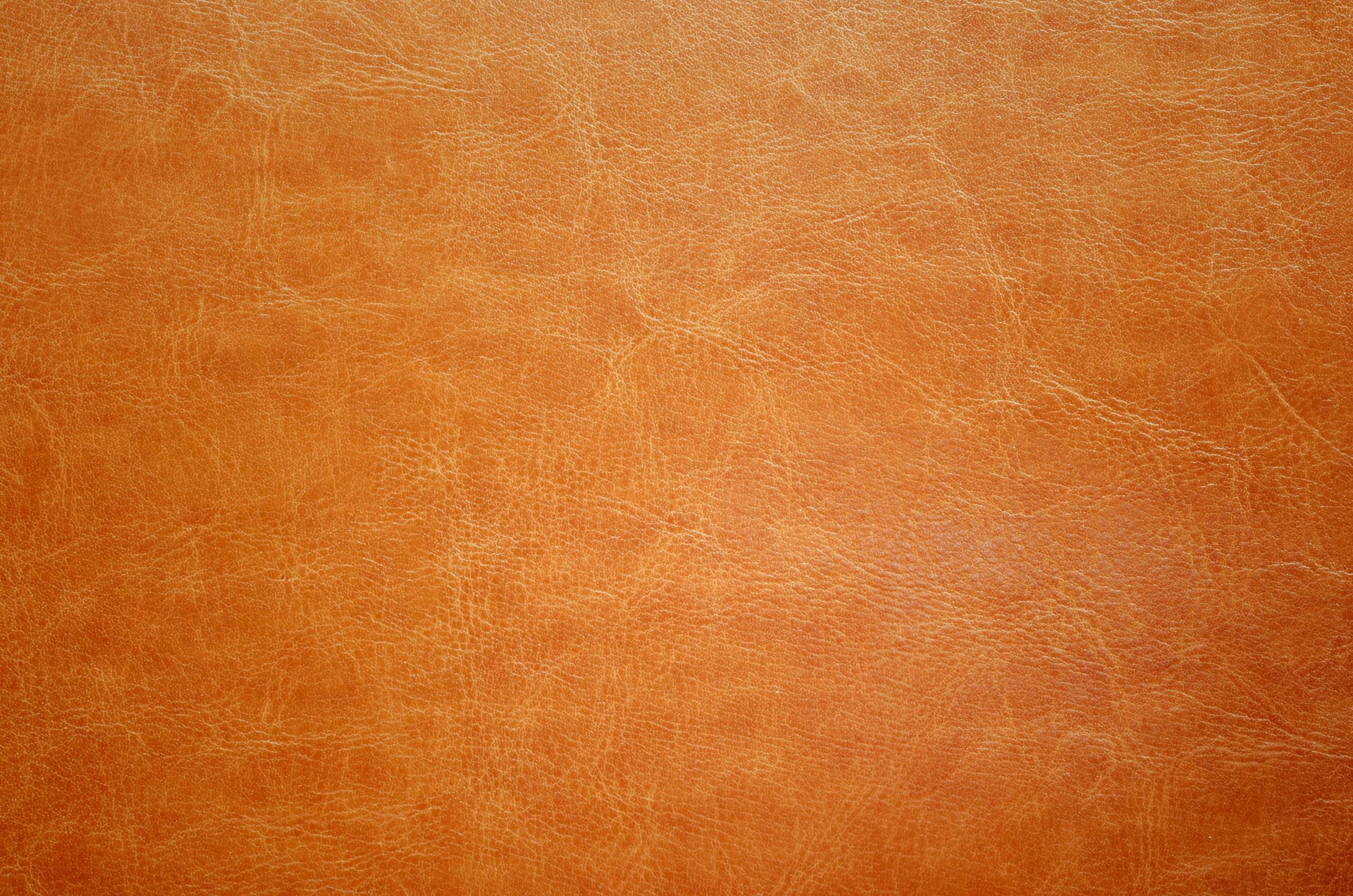 cuero textura