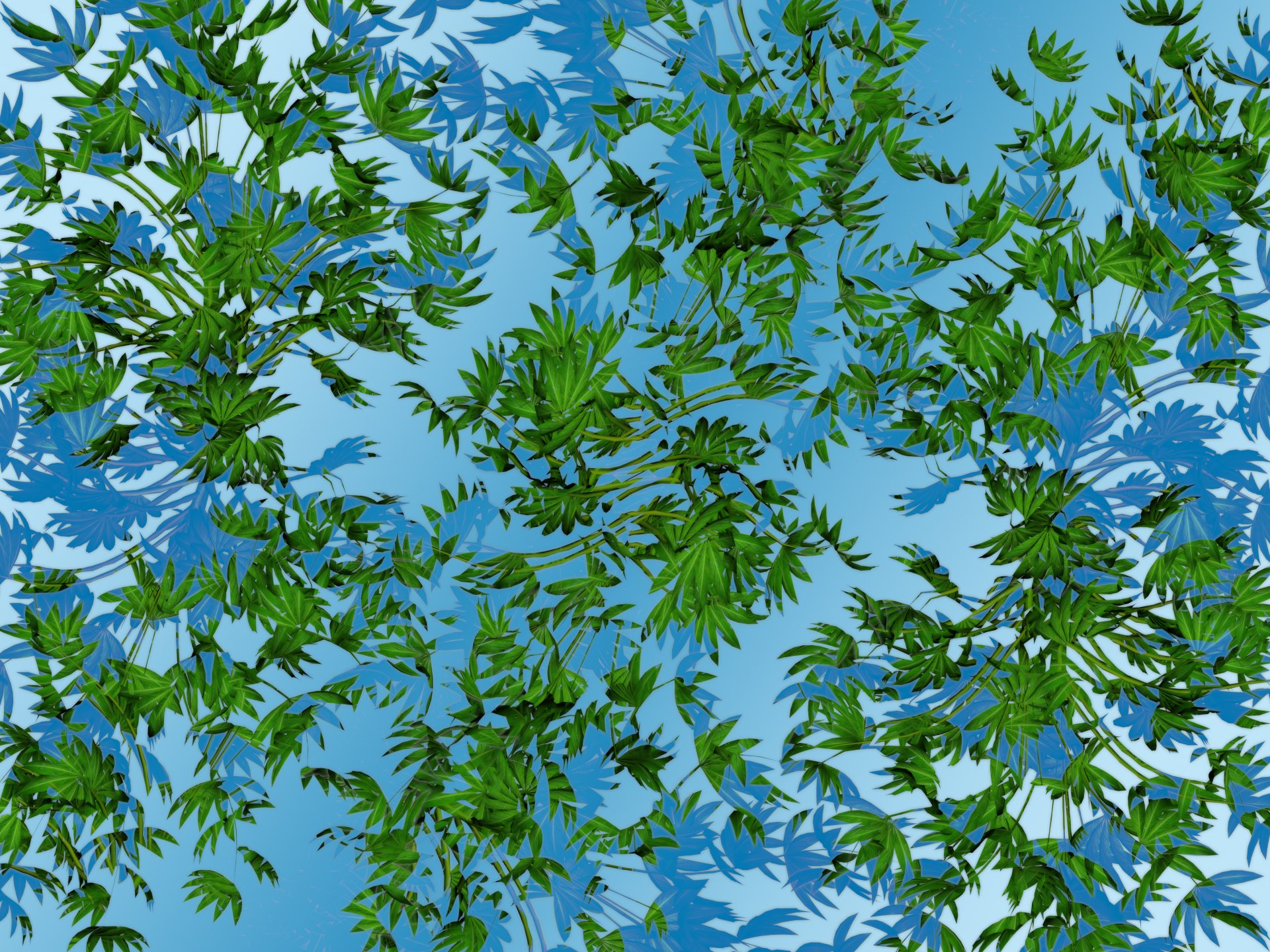 hojas vegetación ramas sombra agua cielo