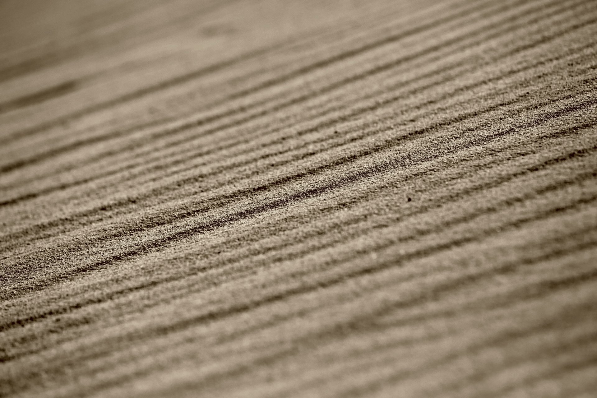 arena líneas macro bokeh