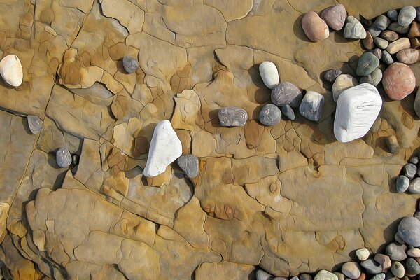 Rocas marinas secas en la roca