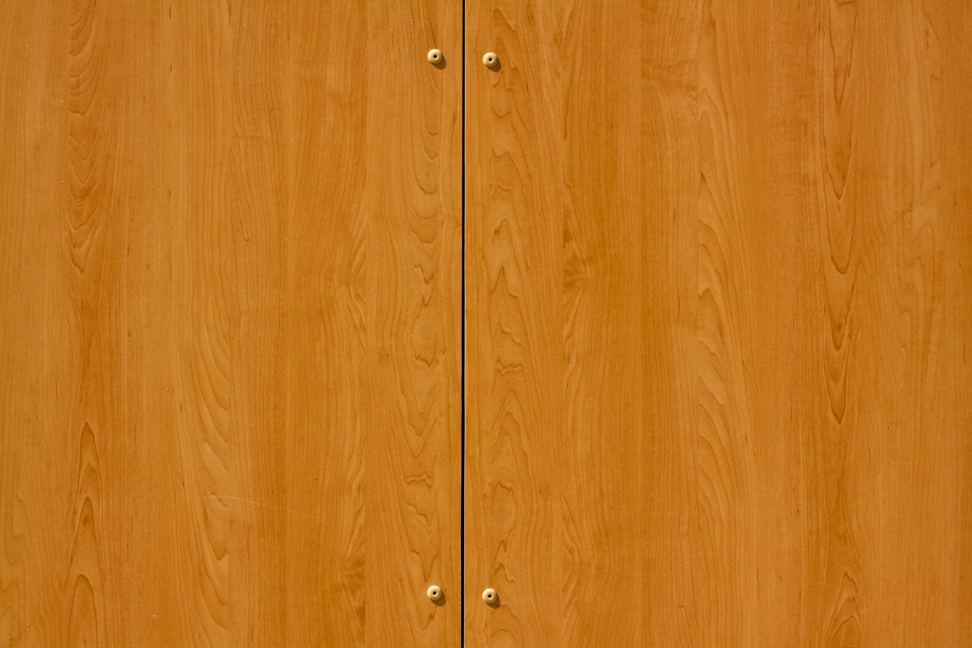 modelo puerta del armario pulido