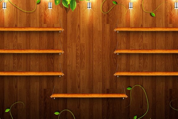 Estantes de madera en la pared de madera con brotes verdes