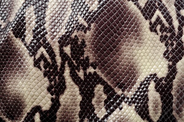 Textura para colorear piel de serpiente la textura animal más común