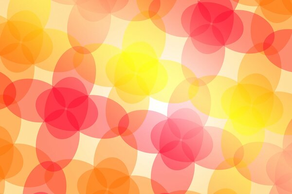 Flores brillantes, colores brillantes