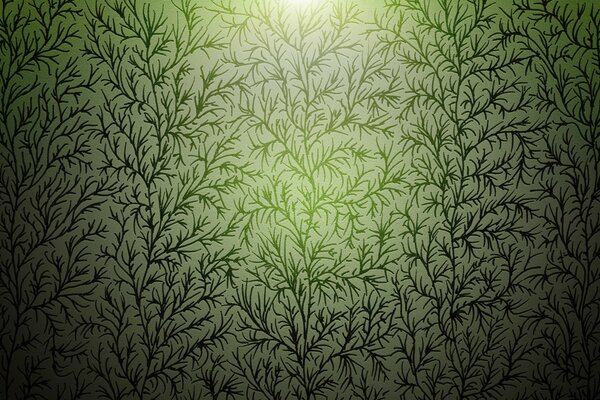 Fondo con plantas verdes sobre blanco