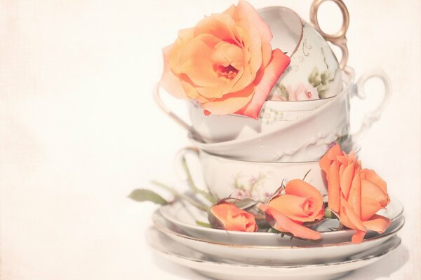 Tazas decoradas con hojas de té rosa