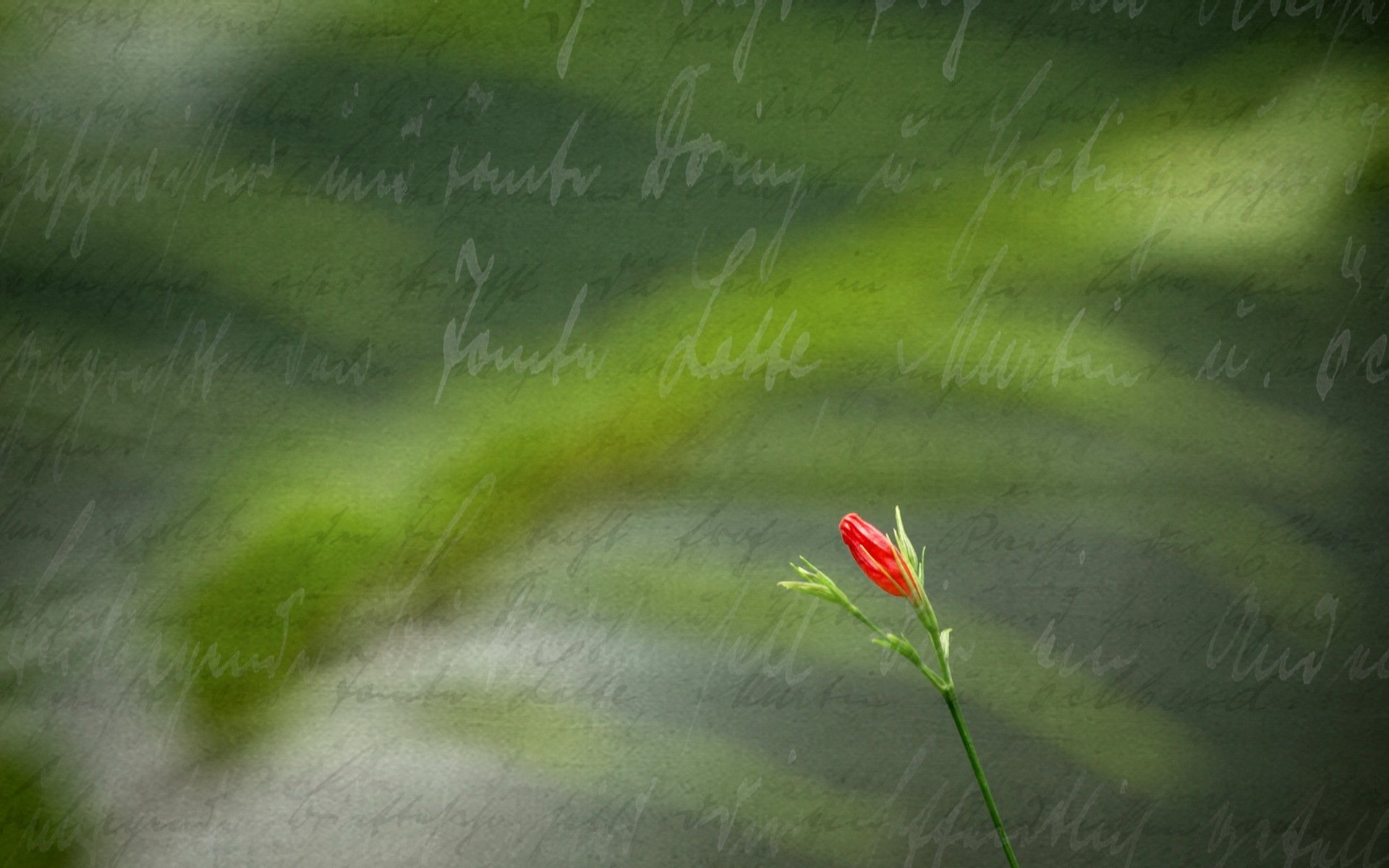 flor carta estilo fondo