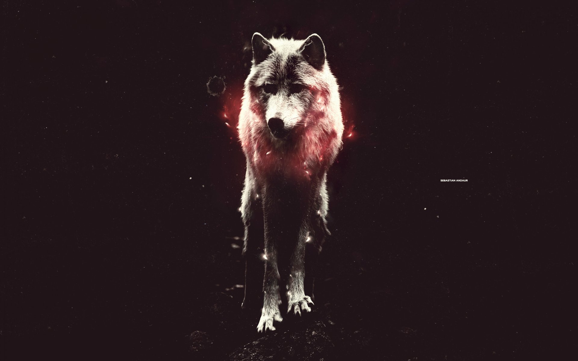 lobo de pie luz rojo