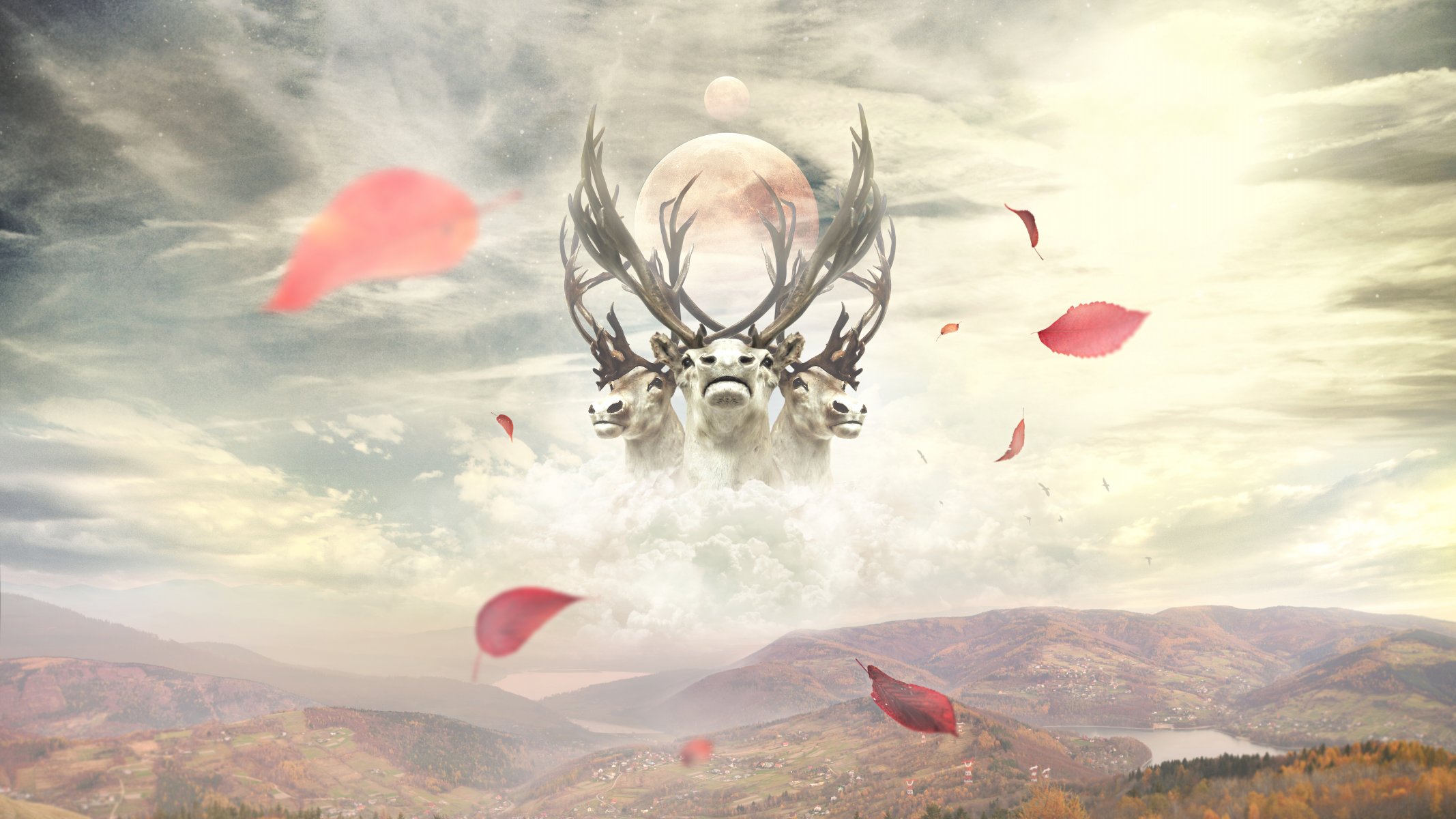 para escritorio fondos de pantalla collage manipulación de fotos ciervos nubes montañas hojas
