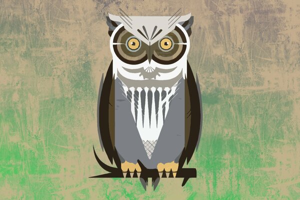 Fondo de pantalla pájaro búho en una rama