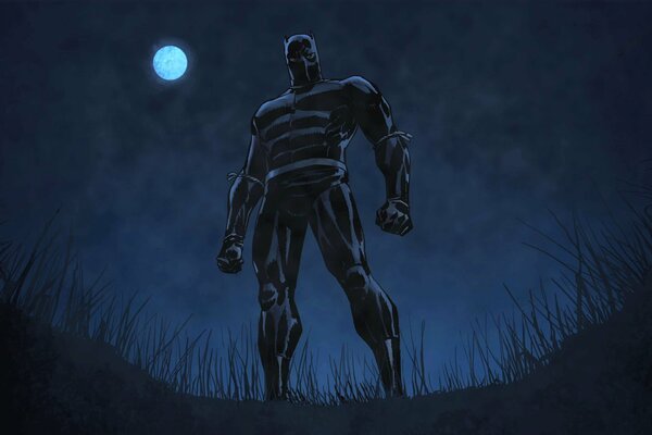 Pantera negra por la noche bajo la Luna