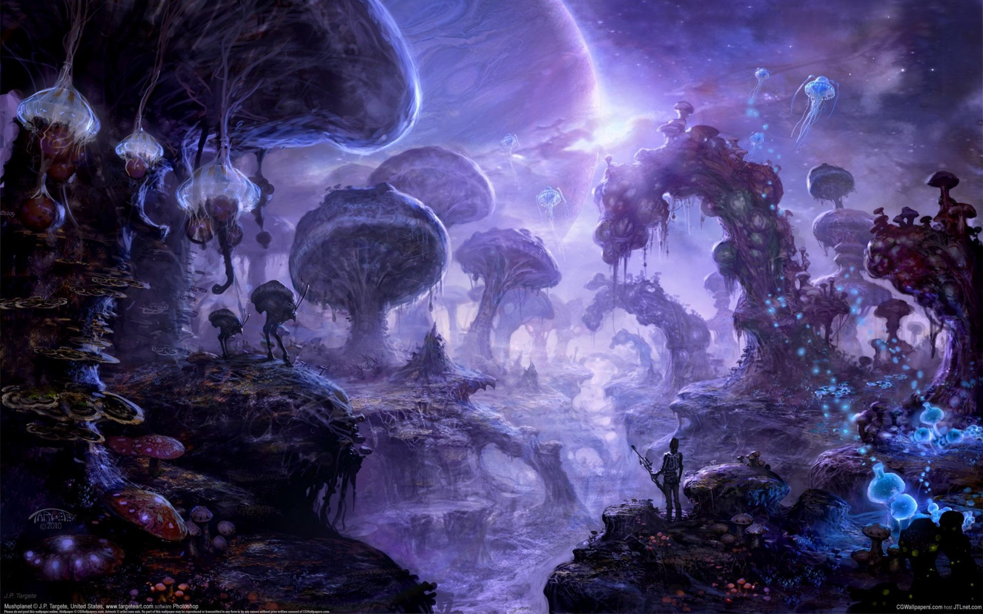 jp targete arte setas