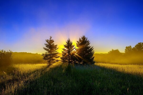 Amanecer en el borde verde
