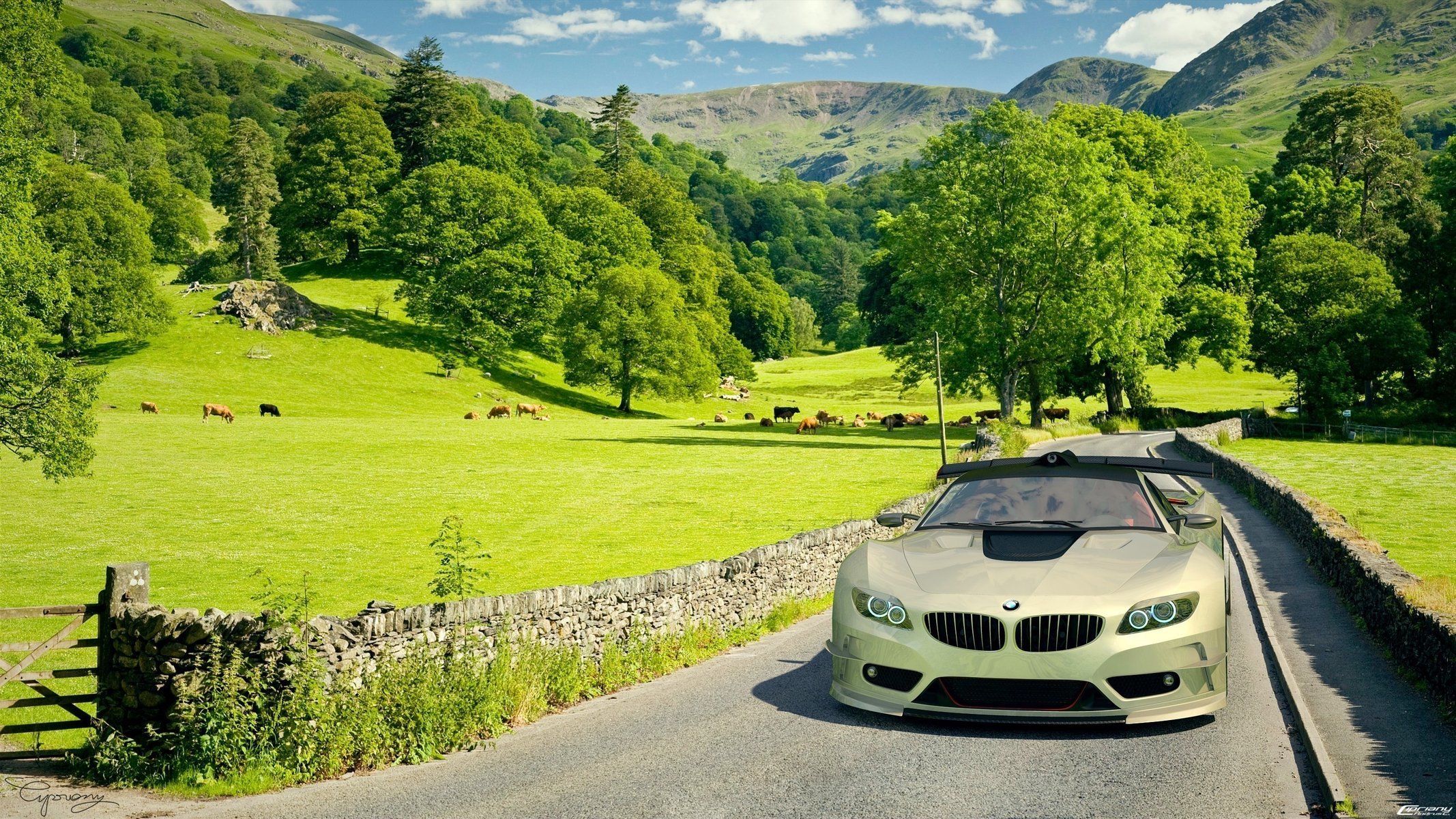 campo bmw coche coche coche bmw