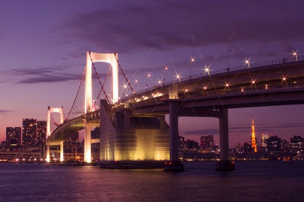 La capital de Japón, Tokio, a la luz de las linternas nocturnas. Bahía en el resplandor de las nubes púrpuras
