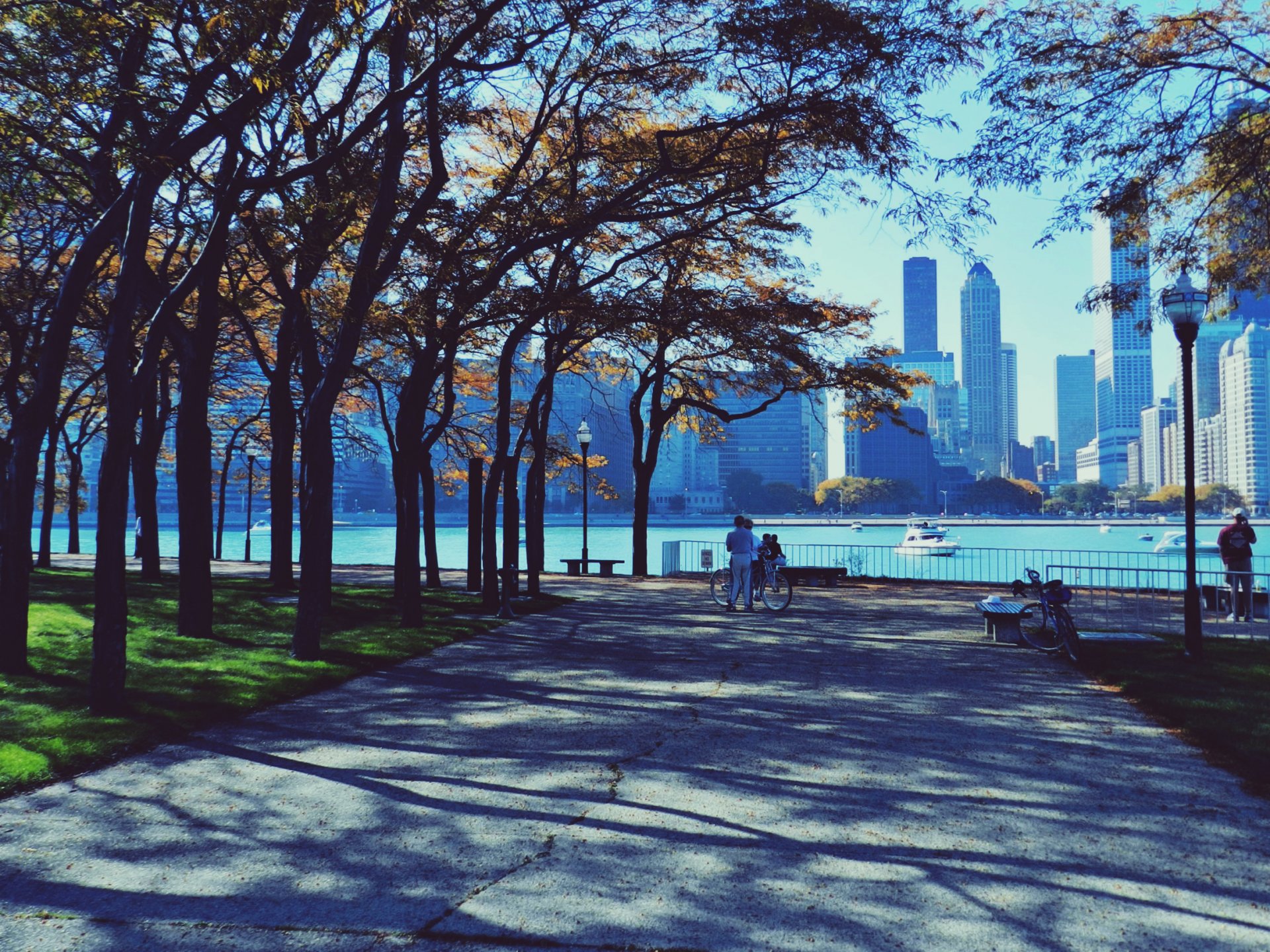 chicago rascacielos parque gente otoño