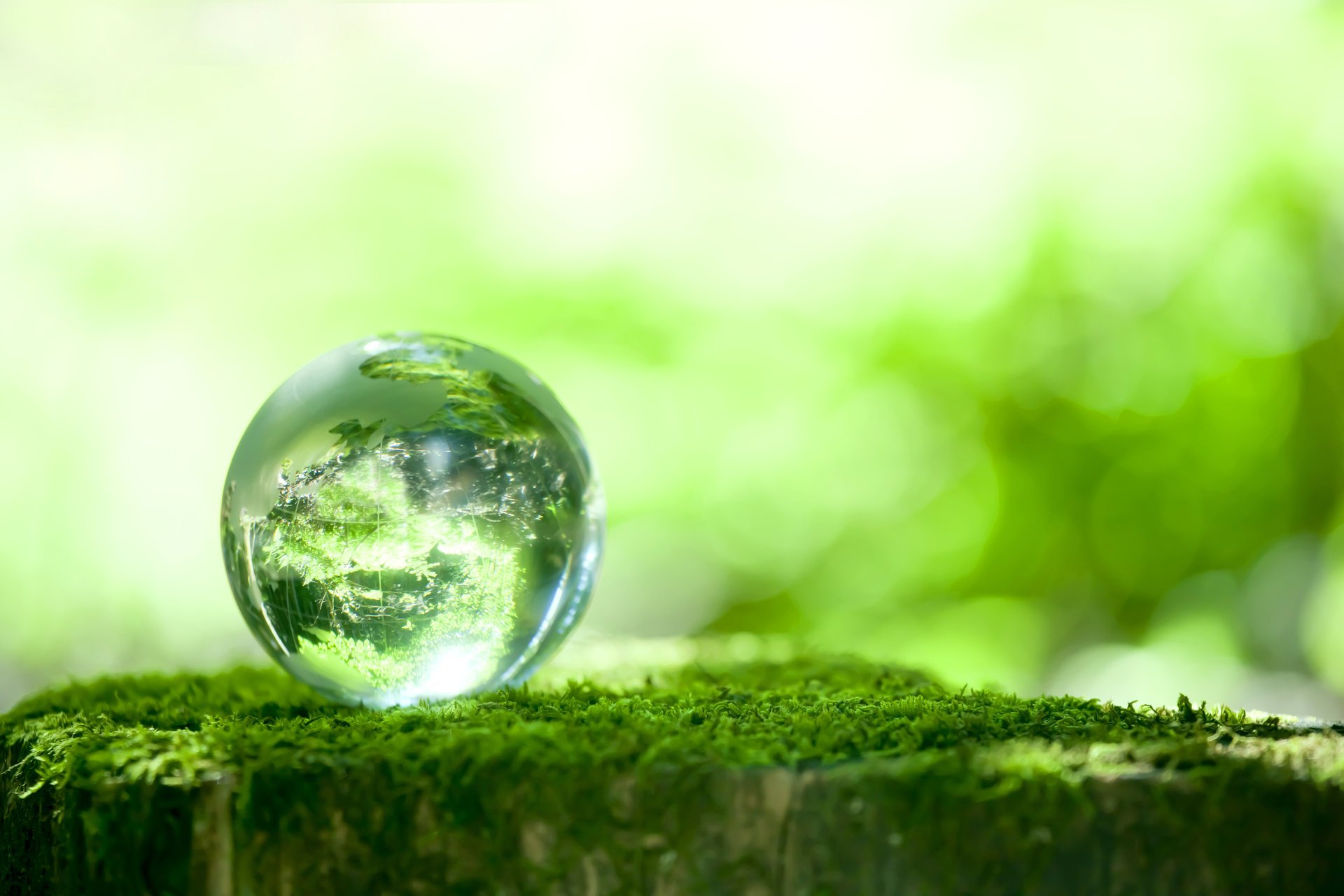 verde musgo bola bokeh reflexión