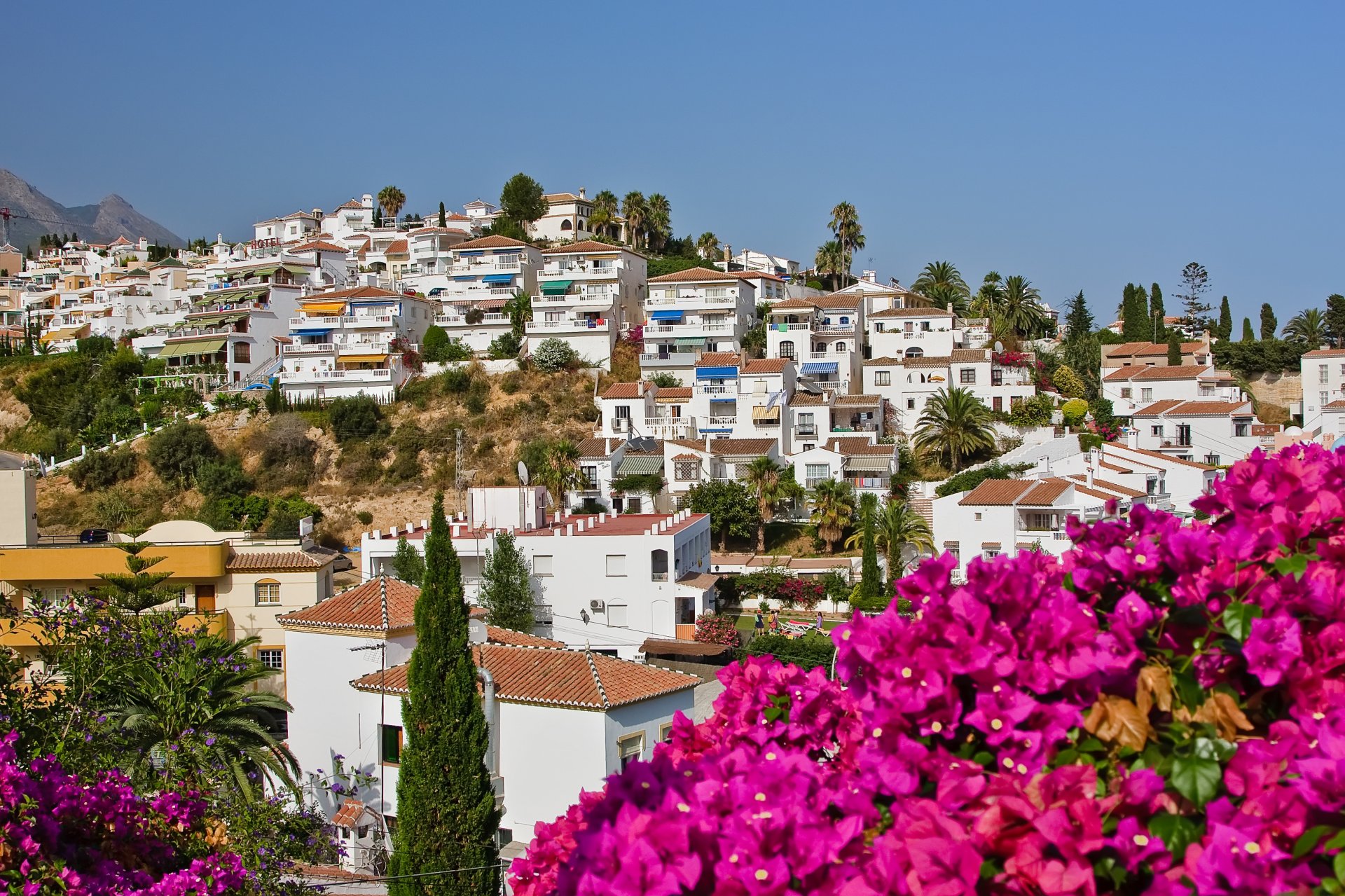 paisaje español nerja españa flores casas cielo palmeras árboles naturaleza ciudad árboles
