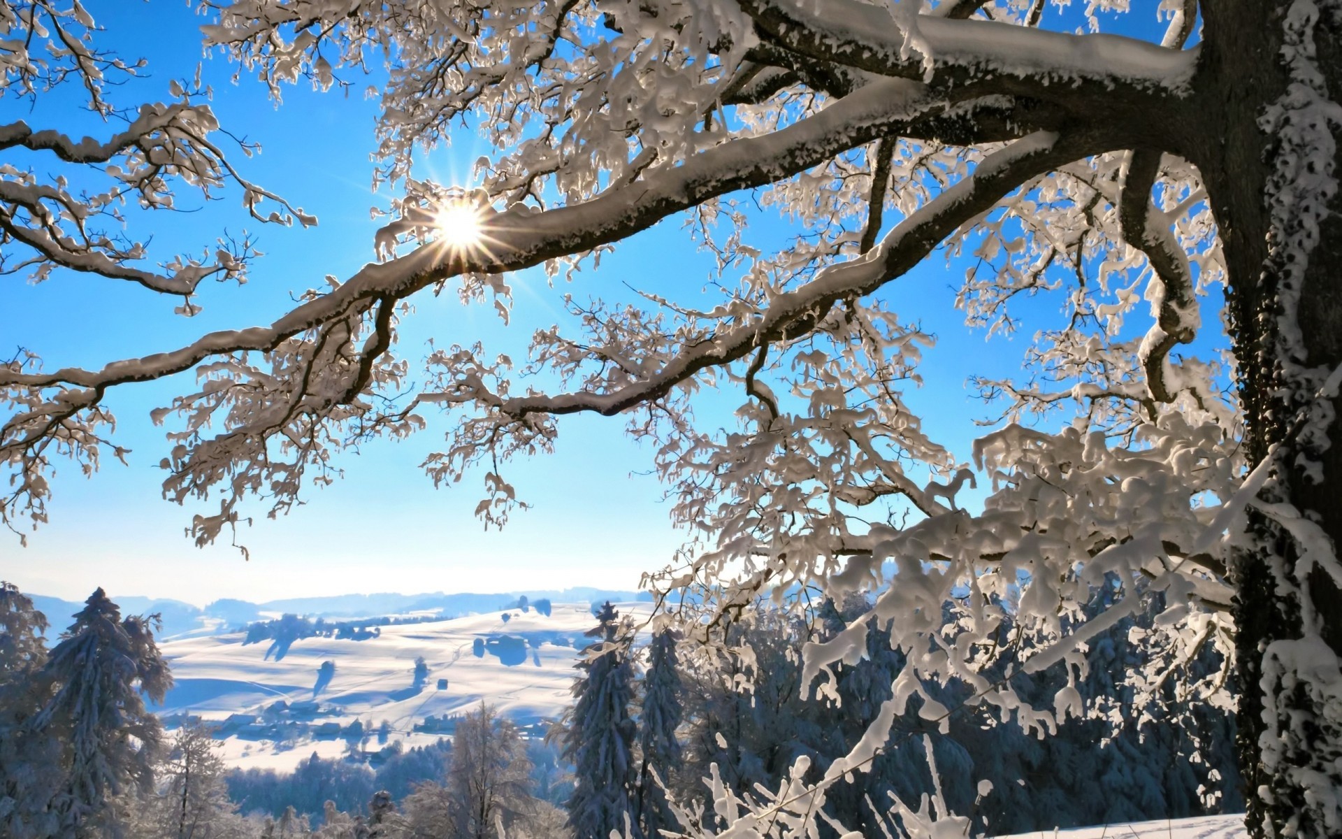invierno naturaleza paisajes nieve año nuevo