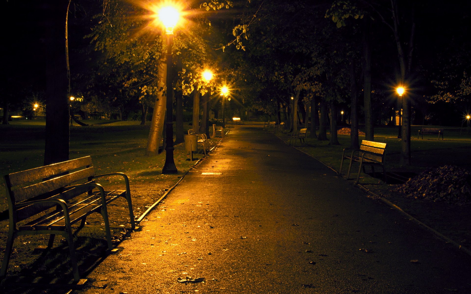 noche parque linterna banco camino