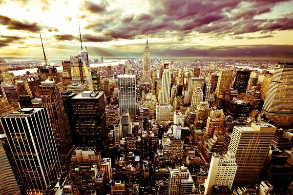 Muchos rascacielos en la ciudad de nueva York