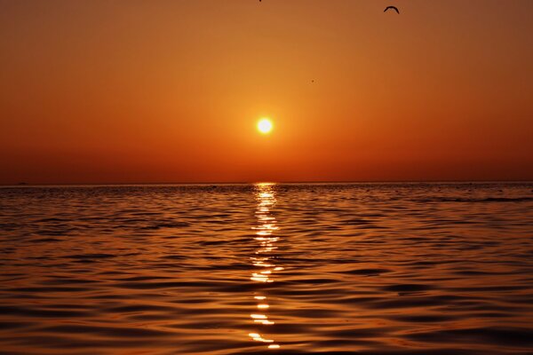 Hermosa puesta de sol de vacaciones