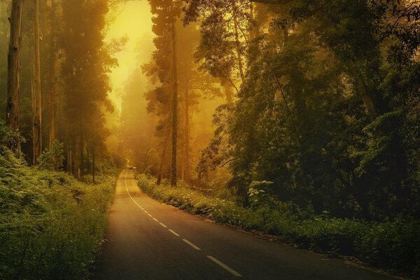 Foto de la carretera en tonos cálidos
