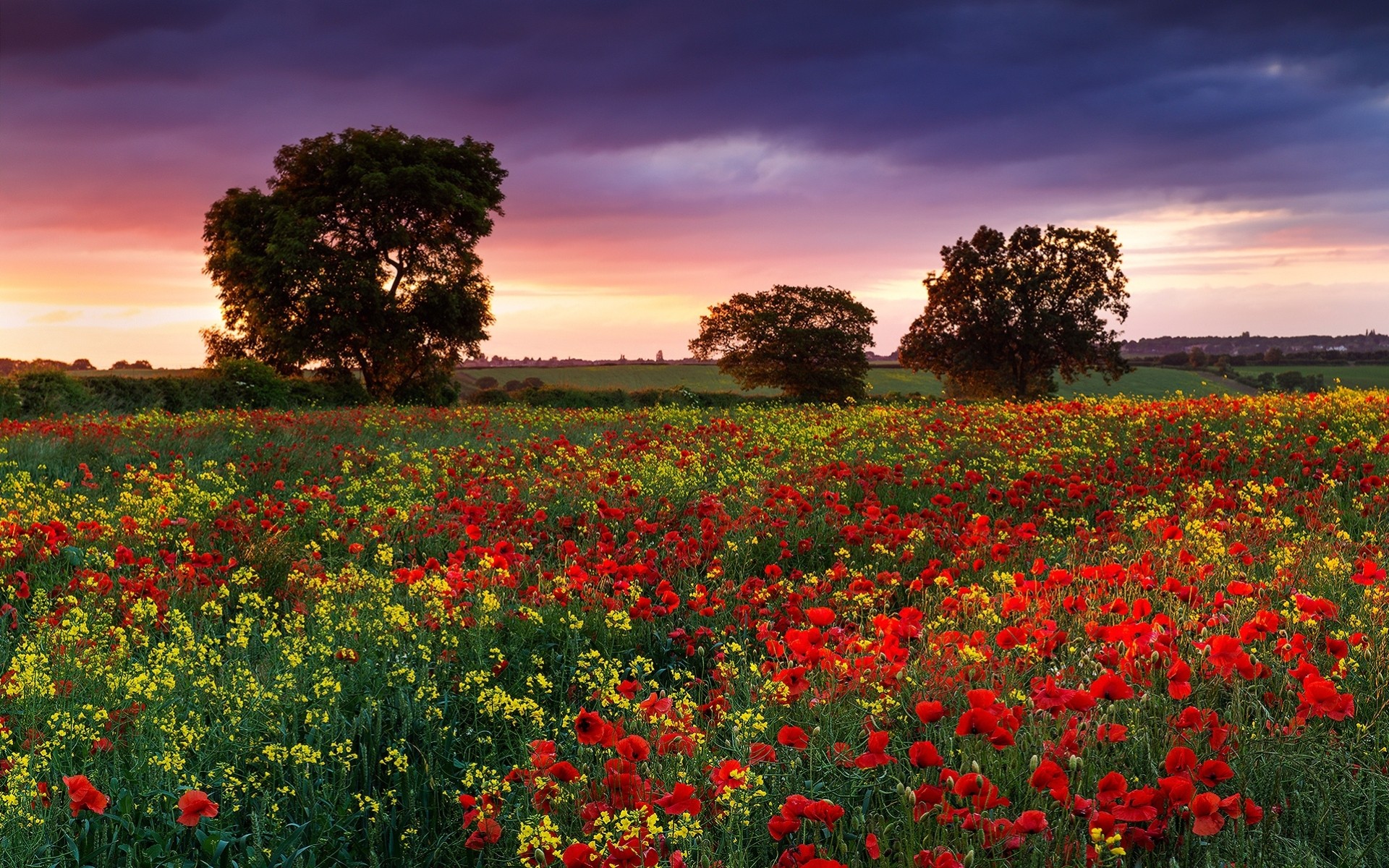 campo noche verano inglaterra naturaleza