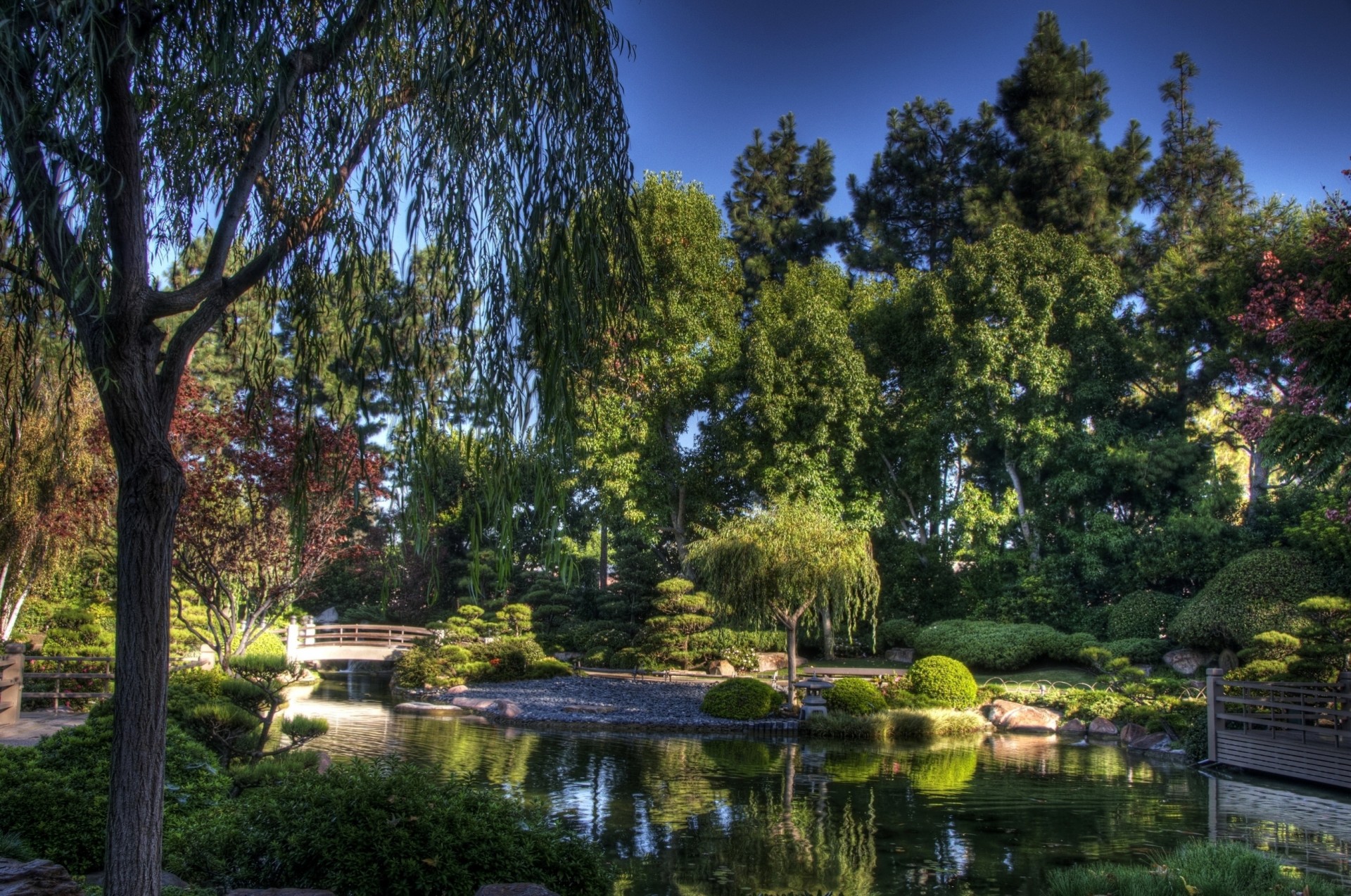 cielo árboles jardín estanque puente